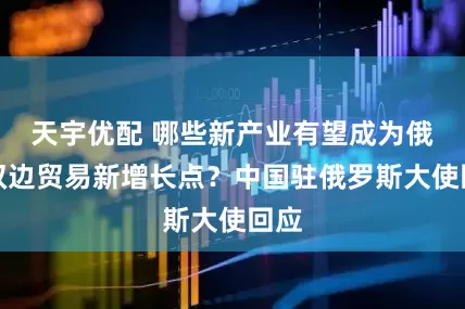 天宇优配 哪些新产业有望成为俄中双边贸易新增长点？中国驻俄罗斯大使回应