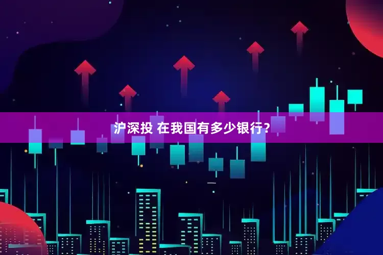 沪深投 在我国有多少银行？